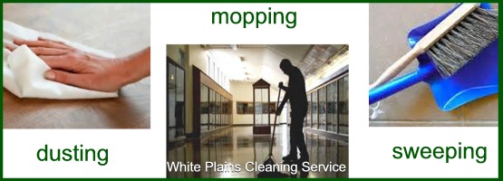mount vernon cleaning